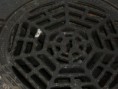 /album/figuras-planas/heptagonos-jpg/